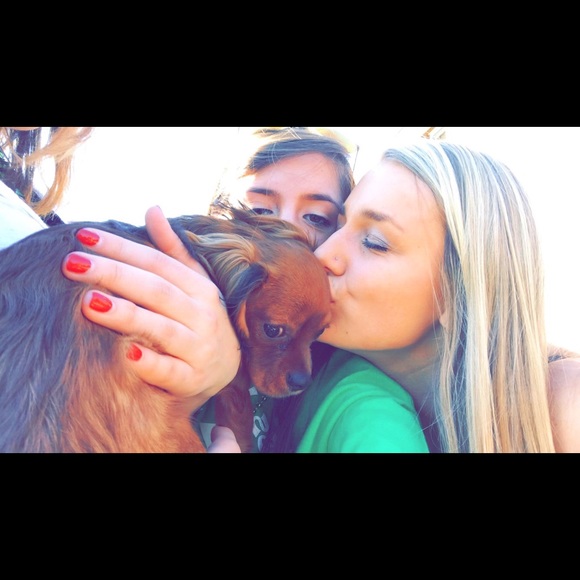 Meet your Posher, Margot - Picture 1 of 1